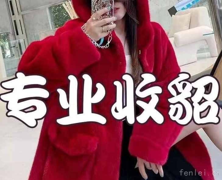 杭州回收貂皮#杭州市貂皮回收#上门收购皮草紫貂